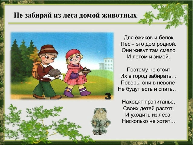 Раскраска поведение в лес Раскраска поведение в лес